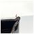 Borsa Louis Vuitton Vernis Wilshire PM M93641 Amarante Bordò - vista 6