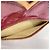 Bolso Louis Vuitton Vernis Pochette Papillon Raspberry Roja - vista 4