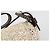 FENDI Mamma Baguette Schultertasche Perlen Elfenbein Silber Authentisch 185413V Roh - Ansicht 18