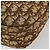 Borsa a Spalla Christian Dior Trotter Canvas Marrone Oro Auth bs35501 D'oro - vista 10