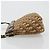 Borsa a Spalla Christian Dior Trotter Canvas Marrone Oro Auth bs35501 D'oro - vista 5