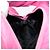 SAINT LAURENT Borsa a Mano Canvas Rosa Oro Auth bs35590 D'oro - vista 17