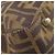 Borsa Fendi Zucca marrone pelle e tela - vista 16