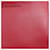 Céline Borsa a tracolla a secchiello Celine Big Bag Rosso - vista 15
