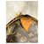 Louis Vuitton Borsa Speedy 40 Monogram Marrone - vista 9