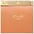 Céline Borsa a tracolla Celine Teen Triomphe Marrone Bianco Beige - vista 4