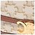Céline Borsa a tracolla Celine Teen Triomphe Marrone Bianco Beige - vista 6