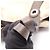 Borsa a mano Mini Boston Bulgari Logomania Marrone Beige - vista 9