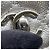 Coco Handle Borsa Chanel Silver Extra Mini Metallic Quilted Caviar Coco Top Handle Argento - vista 6
