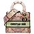 Borsa Christian Dior Dior LADY D-LITE Medium Multicolore