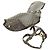 Set Harnes e Cappottino GUCCI GG Supreme in PVC Beige Oro 692963 Auth 182693V