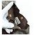 Set Harnes e Cappottino GUCCI GG Supreme in PVC Beige Oro 692963 Auth 182693V - vista 23