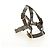 Set Harnes e Cappottino GUCCI GG Supreme in PVC Beige Oro 692963 Auth 182693V - vista 31