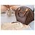 Bolsa Louis Vuitton Monogram Ellipse GM Marrom Monograma - vista 13