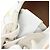 LOEWE Studio Ghibli Susuwatari Spirited Away Sneakers White Auth 167405SAM Bianco - vista 17