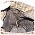 Borsa a Mano FENDI Zucca Canvas Nero Marrone Auth 185020 - vista 20
