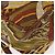Borsa Salvatore Ferragamo in tela e pelle 2way marrone oro Auth am11858A D'oro - vista 17