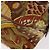 Borsa Salvatore Ferragamo in tela e pelle 2way marrone oro Auth am11858A D'oro - vista 18