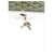 Goyard Boston 50 Edizione Limitata Verde Monogramma - vista 8