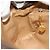 Borsa GUCCI GG Supreme Web Sherry Line PVC Beige Oro 001 56 6472 Auth 185031 D'oro - vista 20