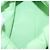 BOTTEGA VENETA Borsa a Spalla The Chain Pouch in Pelle Verde Oro Auth 185412SAM D'oro - vista 11