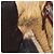 Borsa FENDI Peek A Boo Large in pelle 2way Beige Auth ka4679 - vista 20