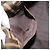 FENDI Zucca Canvas Mamma Baguette Shoulder Bag Black Brown Auth 184907SAM Castaño Negro - vista 24