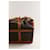 Louis Vuitton Borsa per cani 50 marrone - vista 5