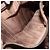 Bolso de mano Salvatore Ferragamo de cuero beige dorado Auth 185164A - vista 23
