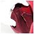 Bolsa de Ombro GUCCI em Couro Vermelho Ouro 007 261 0081 Auth BA13384 Dourado - vista 20