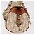 Borsa Christian Dior Trotter Canvas Romantic Chain Ivory Silver Auth 184735A Argento Crudo - vista 4