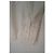 Camisa Gucci de algodón blanco Slim Fit - vista 7