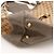 Gucci borsa a mano GG monogram monogrammata e pelle Marrone - vista 9