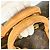 Louis Vuitton Keepall Monogram Canvas 50 Marrone - vista 6