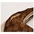 Gucci Borsa Hobo in tela Monogram GG Marrone Beige - vista 11