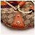 Gucci Hysteria Monogramm Canvas Hobo Bag Braun Orange Lila - Ansicht 10