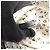 Borsa a Spalla Louis Vuitton Catgram Nero Bianco Multicolore - vista 5