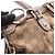 Gucci Sukey GG Canvas 2-Way Handtasche Braun Beige - Ansicht 6