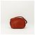 Louis Vuitton Borsa a Secchiello Noe GM in Pelle Epi Marrone - vista 5
