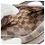 Sac bandoulière Louis Vuitton Geronimos en toile Damier Marron Multicolore - vue 12