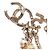 Orecchini a lobo Chanel Coco Mark Star Motif D'oro - vista 4