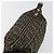 FENDI Zucca Canvas Vanity Hand Bag Black Brown Auth 185538 Marrone Nero - vista 15
