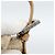 Borsa a Spalla FENDI Mamma Baguette in Tela Zucca Felt Beige Silver Auth 186896SAM Argento - vista 14
