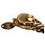 Chanel Goldplattierter Coco Mark Pferde-Medaillon-Halskette Golden - Ansicht 6