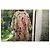 Chaqueta Reversible Diane Von Furstenberg Estampado Floral Multicolor Dorado - vista 2
