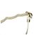 Chanel White Mini Aged Calfskin City School Flap Bianco Crudo - vista 8