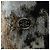 Timeless Chanel P75361K10782 23A Kaschmirstrick Braun Schwarz - Ansicht 8