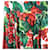 Dolce & Gabbana Dolce&Gabbana Stretch-Mikro-Crepe-Blumenkleid Weiß Rot Grün  - Ansicht 12