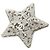 Spilla Chanel ABG038 Argento Cristallo