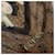 Guess Sciarpa in seta con stampa monogramma Marrone - vista 3